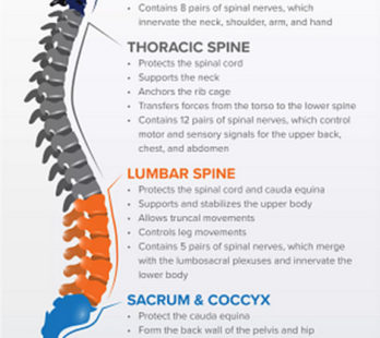 Spine Functions