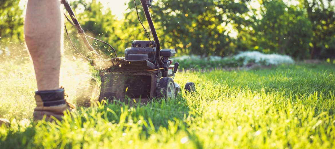 Mowing Lawn