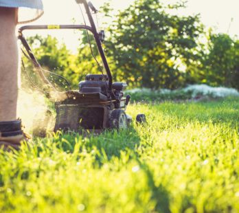 Mowing Lawn