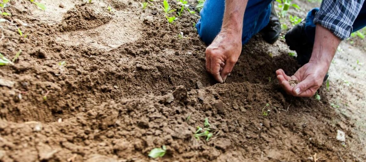 Gardening